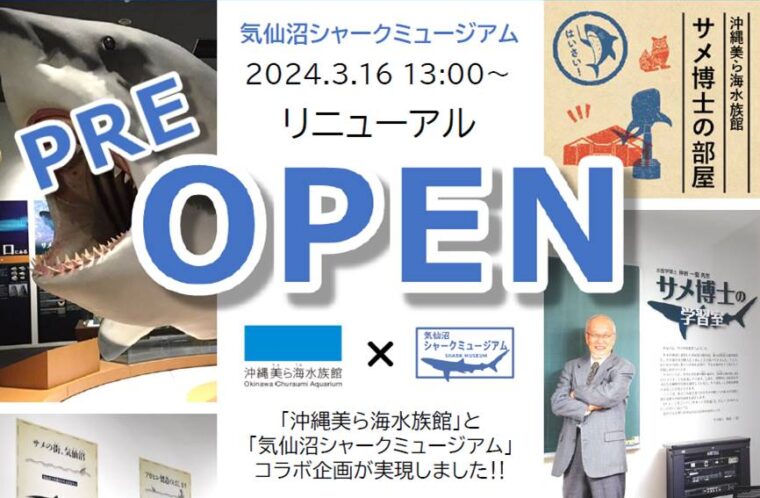 気仙沼シャークミュージアム　リニューアル　プレオープン